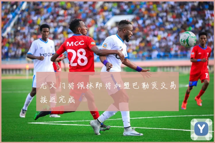 尤文门将佩林即将加盟巴勒莫交易接近完成